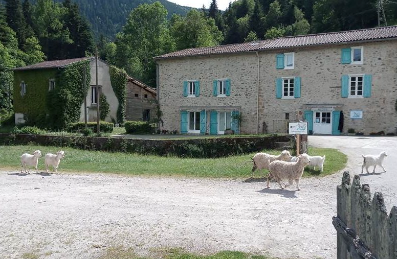 mohair d'alpy